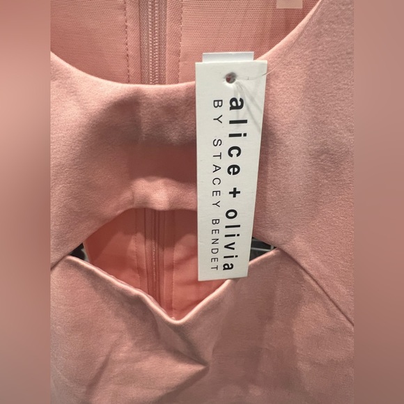 NWT- Alice + Olivia- Gara Cutout Mini Dress in English Rose- Size 4 - Picture 2 of 7